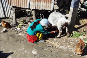 Trekking in Nepal