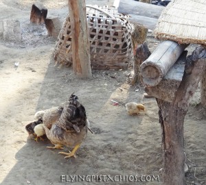 Trekking in Nepal