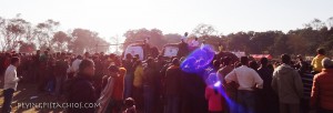 Nepal Annual Elephant Festival