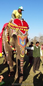 Trekking in Nepal