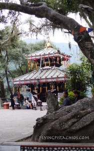 Nepal Tour