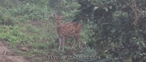 Nepal Tour