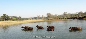 Nepal Holiday